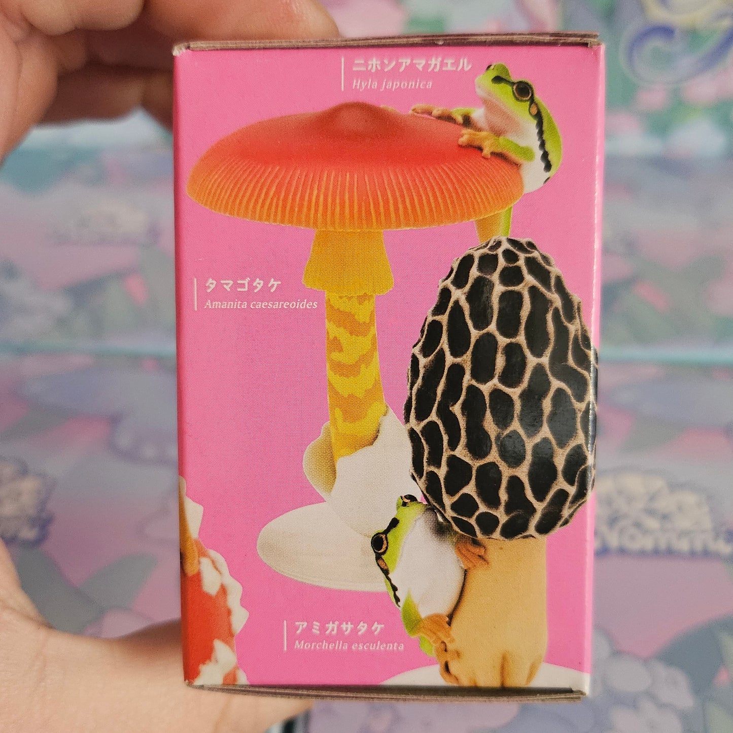 Frog & Mushroom Japanese Blind Box
