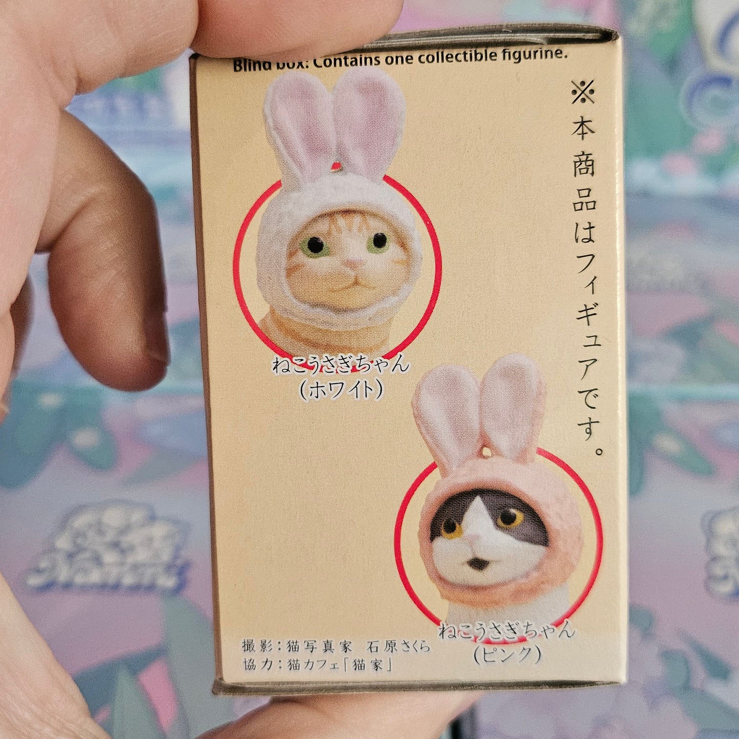 Cats in Caps Japanese Blind Box Kitan Club