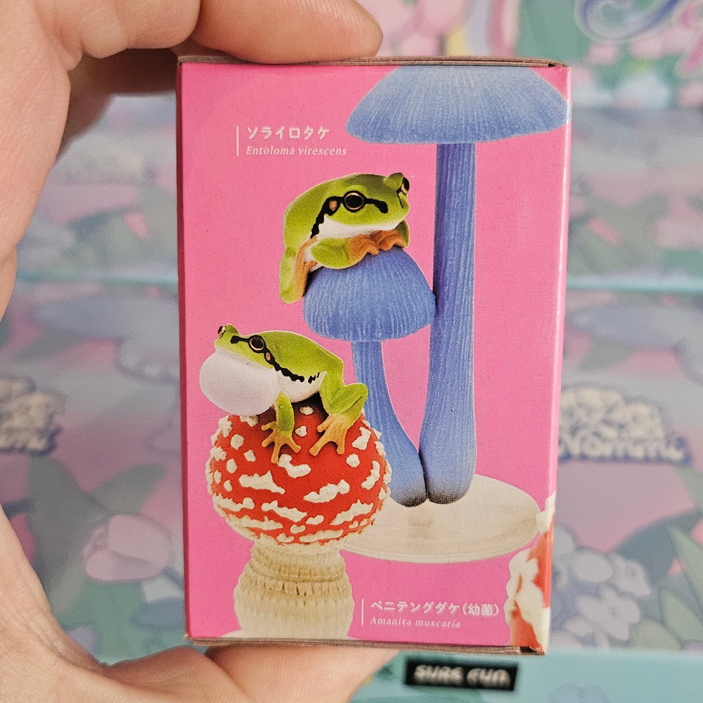 Frog & Mushroom Japanese Blind Box